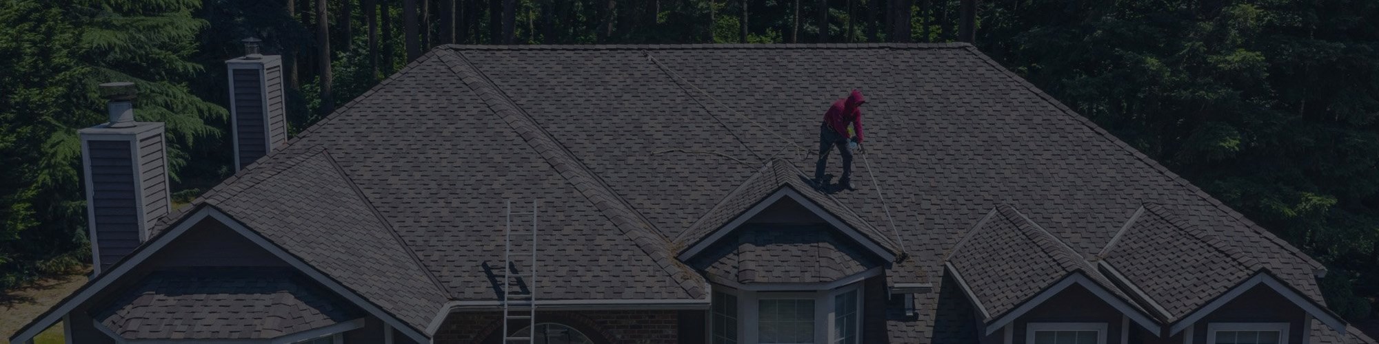 Seattle professional roof cleaning services