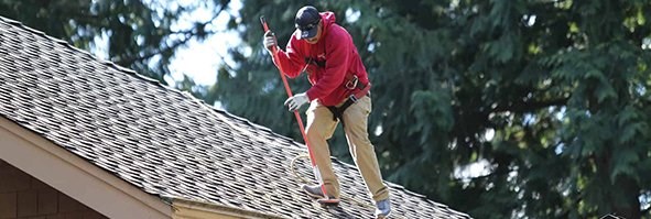 Moss Removal Contractors for roofs in Seattle