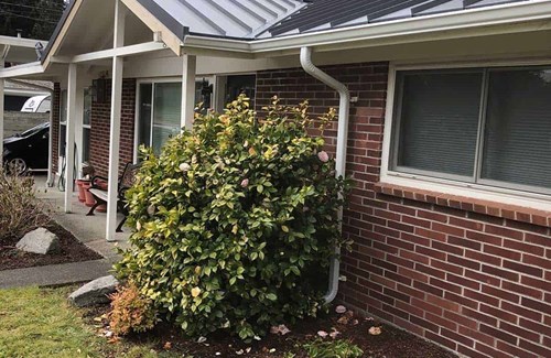 Auburn Standing Seam Metal Panel in Old Town Gray