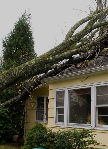 storm damage roof emergency repairs for seattle residents